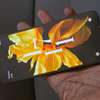 Xiaomi mi 13T 512GB 12GB 2sim thumb 0