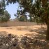 TERRAIN DE 5000 M2 COMMERCIAL A VENDRE DE ROUTE A KEUR SEGA thumb 1