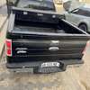 Ford F150 thumb 3