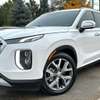 Hyundai palissade thumb 0