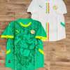 Maillot sénégal can 2025 thumb 1