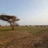 Terrains Agricoles à Vendre par m2 thumb 2