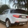 Land Rover Discovered 2016 thumb 1