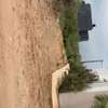 4500 m² à vendre à Saly center à Mbour sur la petite côte thumb 4