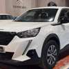 Peugeot 2008 2020 thumb 0