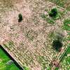 Terrains de 1000 m² à vendre à Saly thumb 3