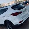 Hyundai Santafe thumb 7