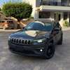 Jeep Cherokee 4x4 – 2019 thumb 0