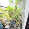 18-23 trees/plants +liquid natural fertilizer+rich soil thumb 1