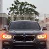 BMW X4 Xdrive 30i 2019 thumb 0