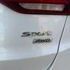 Hyundai Santafe 2017 thumb 9