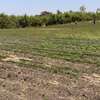 Terrain 1 hectare a sebiponty ndoyene thumb 3