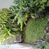 villa louer mermoz thumb 2
