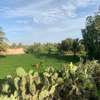 Terrains à usage agricole à Mboro / hectare thumb 2