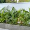 Aménagement espace vert/ plantes d'intérieurs thumb 1
