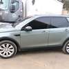 Range Rover Discovery thumb 1