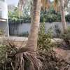une villa louer mermoz thumb 3