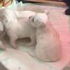 Bichon maltais 1 a 6 mois thumb 2