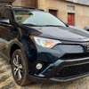 Toyota RAF 4 XLE 2018 thumb 8