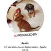 Garde/ pension chiens thumb 1