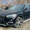 BMW X1 2018 thumb 1