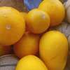 Vente melons thumb 0
