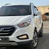 HYUINDAI TUCSON EVGT thumb 8