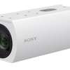 Caméra à distance fixe 4K60p IP Sony SRG-XB25 thumb 0