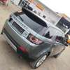 Range Rover Discovery thumb 0