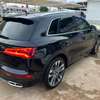Audi SQ5 Quattro 2018 thumb 8
