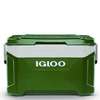 Glacière IGLOO 47 litres 3 jours de conservation thumb 0