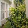 villa louer mermoz thumb 4