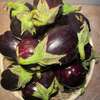 Vente de fruits et légumes frais thumb 11