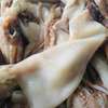 Seiche , calamar, crabe, pince crabe thumb 3