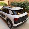 C4 cactus thumb 6
