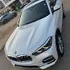 Bmw x5 2019 thumb 0