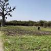 Terrain 1 hectare a sebiponty ndoyene thumb 1