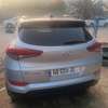 Al mactoum business  7500.000 thumb 5