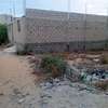 Terrain commercial thumb 9