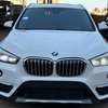 BMW X1 2019 thumb 0