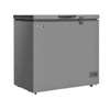 congélateur 300Litres Horizontal Silver thumb 1