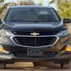 Chevrolet equinox 2019 thumb 0
