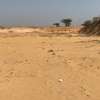 Terrains de 7 590 m² dans la zone horticole de Tassette thumb 6