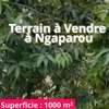 Terrain à vendre à Ngaparou thumb 4