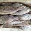 POISSON SOUMPOTT = EMPEREUR à Vendre thumb 0
