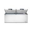 CONGELATEUR 950LITRES FINIX HORIZONTAL BLANC BDW950 thumb 1