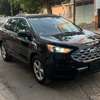 Ford Edge 2020 SUV Ecoboot thumb 0