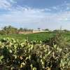 Terrains à usage agricole à Mboro / hectare thumb 1