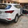 Hyundai Santa Fe 2019 thumb 1