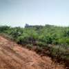 terrain Sindia,zone Rally thumb 5